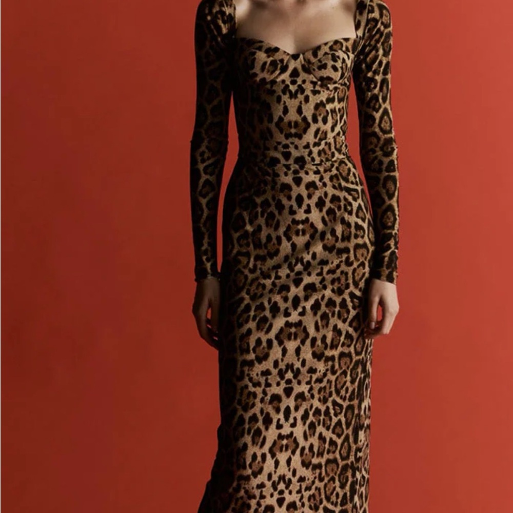Elegant Animal Print Long Sleeve Dress